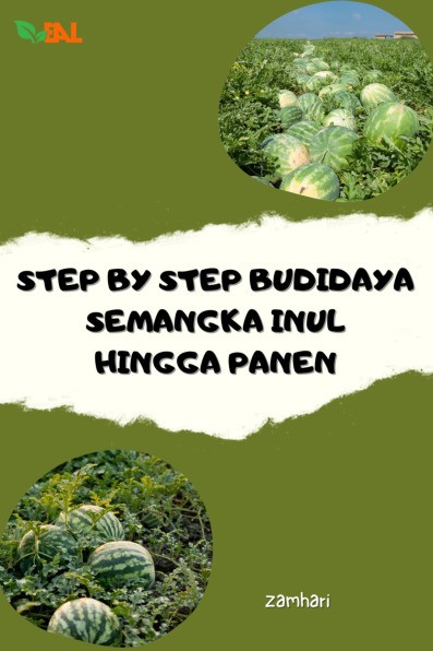 Step By Step Budidaya Semangka Inul Hingga Panen